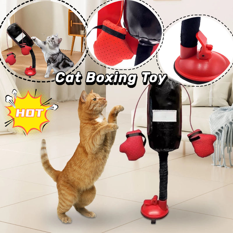 Zevuno Portable Cat Punching Bag Toy Interactive Indoor Cats Kitten Toy With Gloves Cat Toy For Kitten Pet Cat Supplies Pets Products
