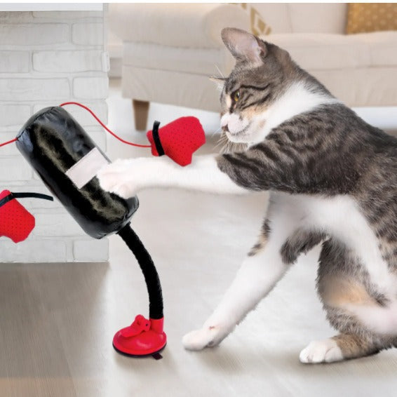 Zevuno Portable Cat Punching Bag Toy Interactive Indoor Cats Kitten Toy With Gloves Cat Toy For Kitten Pet Cat Supplies Pets Products